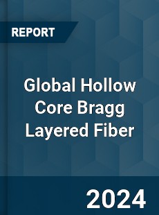 Global Hollow Core Bragg Layered Fiber Industry