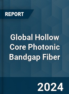 Global Hollow Core Photonic Bandgap Fiber Industry