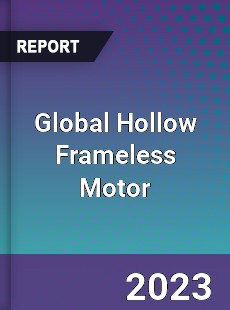 Global Hollow Frameless Motor Industry