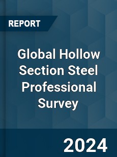 Global Hollow Section Steel Professional Survey Report