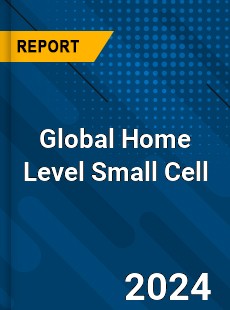 Global Home Level Small Cell Industry