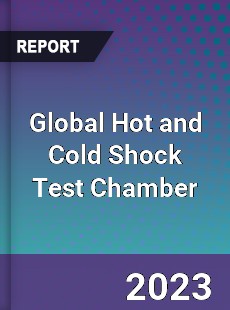 Global Hot and Cold Shock Test Chamber Industry