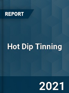 Global Hot Dip Tinning Professional Survey Report