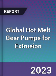 Global Hot Melt Gear Pumps for Extrusion Industry