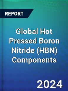 Global Hot Pressed Boron Nitride Components Industry