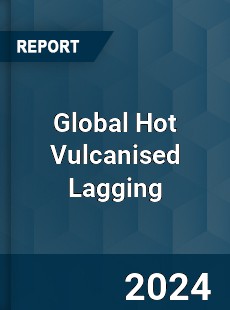 Global Hot Vulcanised Lagging Industry