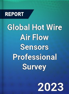 Global Hot Wire Air Flow Sensors Professional Survey Report