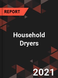 Global Household Dryers Professional Survey Report