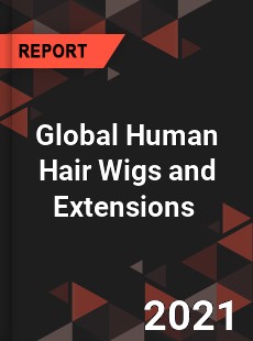 Global Human Hair Wigs and Extensions Market