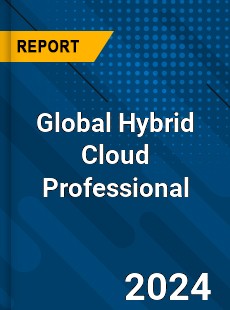 Global Hybrid Cloud Professional Market