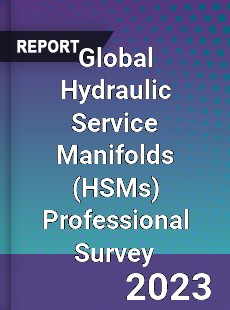 Global Hydraulic Service Manifolds Professional Survey Report