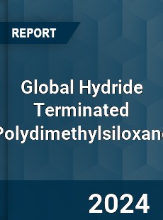 Global Hydride Terminated Polydimethylsiloxane Industry