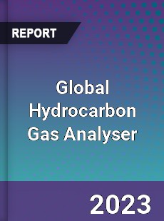 Global Hydrocarbon Gas Analyser Industry