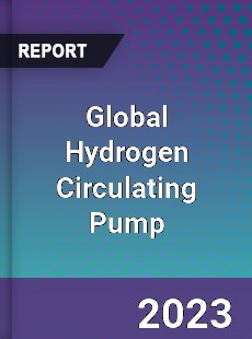 Global Hydrogen Circulating Pump Industry