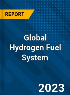 Global Hydrogen Fuel System Industry