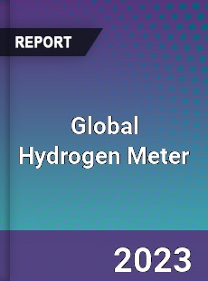 Global Hydrogen Meter Industry