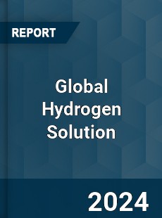 Global Hydrogen Solution Industry