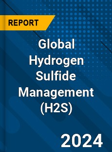 Global Hydrogen Sulfide Management Industry