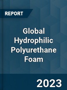 Global Hydrophilic Polyurethane Foam Industry