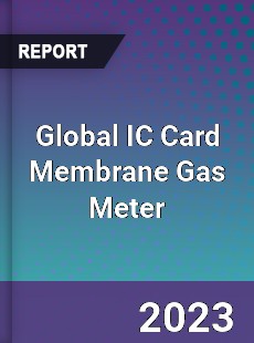 Global IC Card Membrane Gas Meter Industry