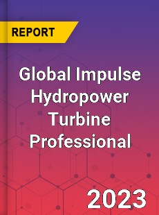 Global Impulse Hydropower Turbine Professional Market