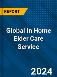 Global In Home Elder Care Service Industry