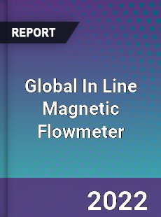 Global In Line Magnetic Flowmeter Market