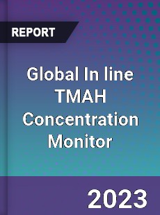 Global In line TMAH Concentration Monitor Industry