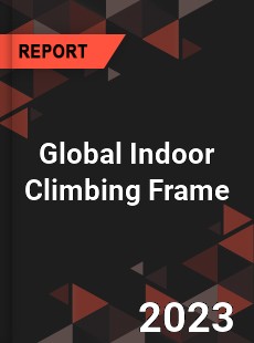 Global Indoor Climbing Frame Industry