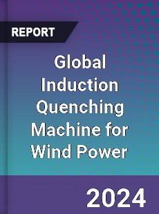 Global Induction Quenching Machine for Wind Power Industry