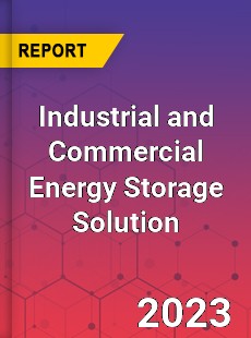 Global Industrial and Commercial Energy Storage Solution Market