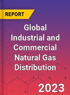 Global Industrial and Commercial Natural Gas Distribution Industry