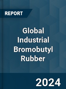 Global Industrial Bromobutyl Rubber Industry