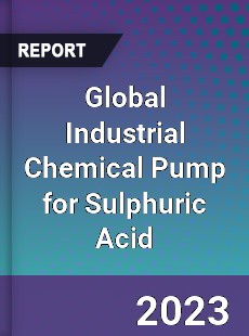 Global Industrial Chemical Pump for Sulphuric Acid Industry