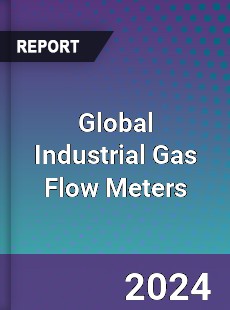 Global Industrial Gas Flow Meters Industry