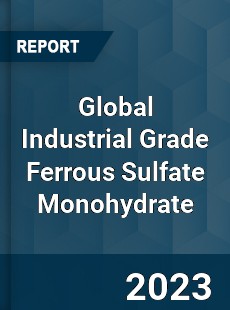 Global Industrial Grade Ferrous Sulfate Monohydrate Industry