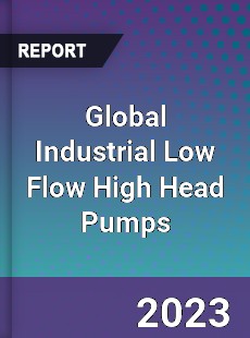 Global Industrial Low Flow High Head Pumps Industry