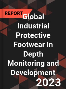 Global Industrial Protective Footwear In Depth Monitoring and Development Analysis