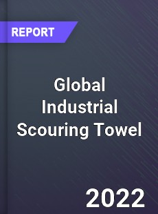 Global Industrial Scouring Towel Market