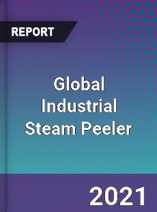 Global Industrial Steam Peeler Market