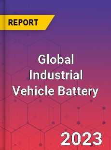 Global Industrial Vehicle Battery Industry