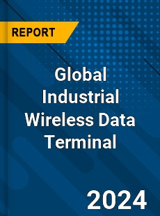 Global Industrial Wireless Data Terminal Industry