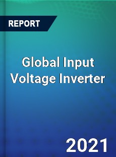 Global Input Voltage Inverter Market