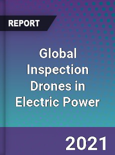 Global Inspection Drones in Electric Power Market