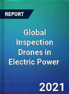 Global Inspection Drones in Electric Power Market