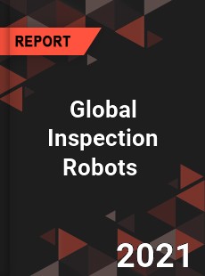 Global Inspection Robots Market