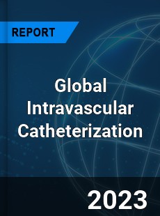 Global Intravascular Catheterization Industry