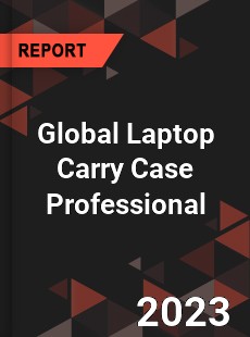 Global Laptop Carry Case Professional Market