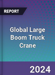 Global Large Boom Truck Crane Industry