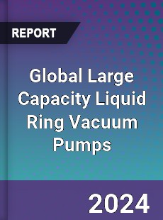 Global Large Capacity Liquid Ring Vacuum Pumps Industry